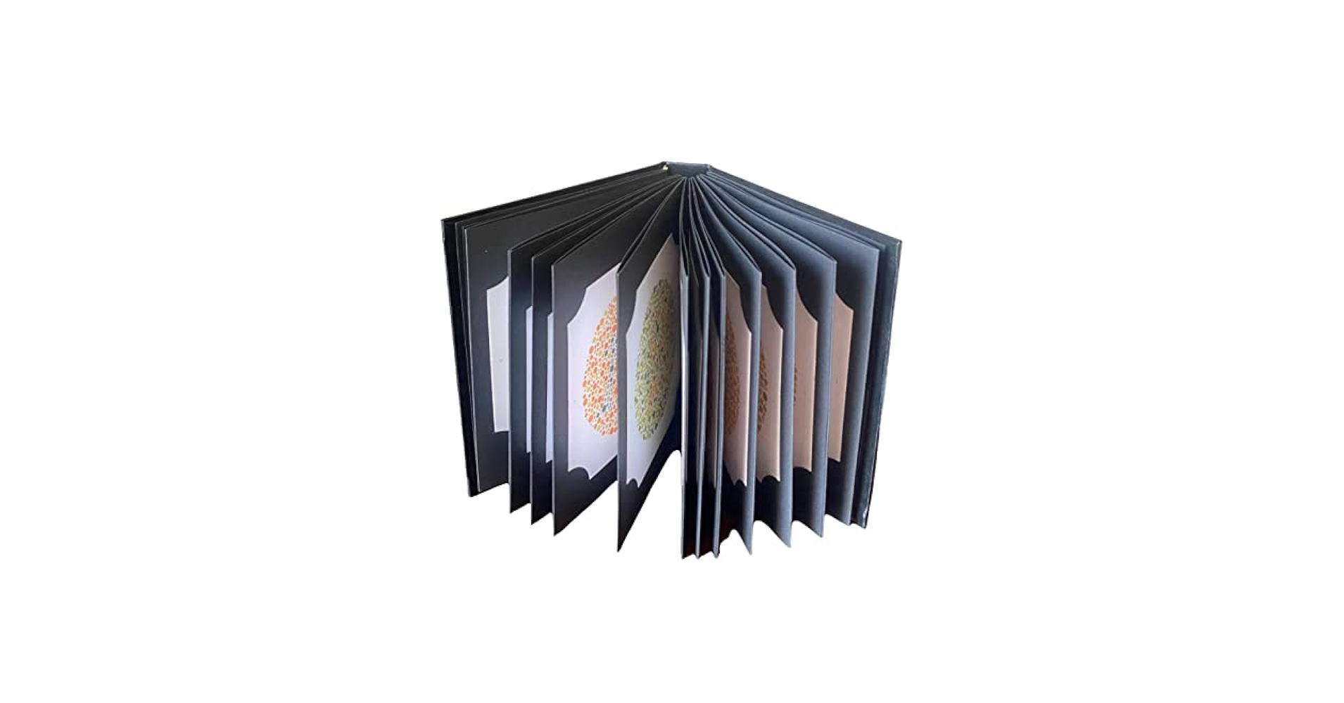 Amazon.com: ISHIHARA Color Vision Test Book with 14 Plate